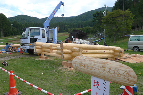 log_01